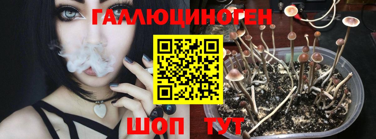 Железноводск  Галлюциногенные грибы мицелий  Вход с VPN 